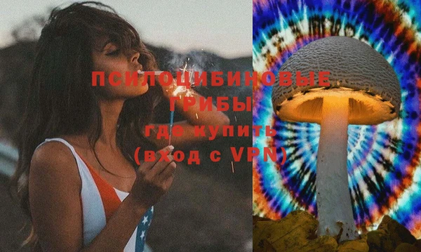мяу мяу мука Баксан